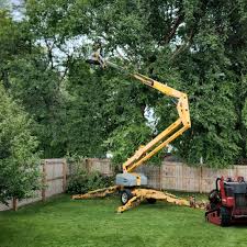 Best Commercial Tree Services  in Warrenton, GA