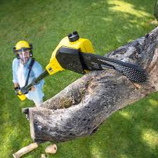 Best Tree Mulching Services  in Warrenton, GA