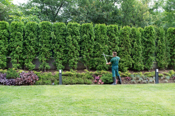 Best Lawn Drainage Solutions  in Warrenton, GA